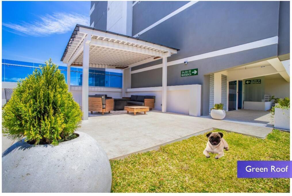 1102 Torre Los Yoses Hermoso Apartamento En Barrio Escalante Sin Parqueo San José Exterior foto