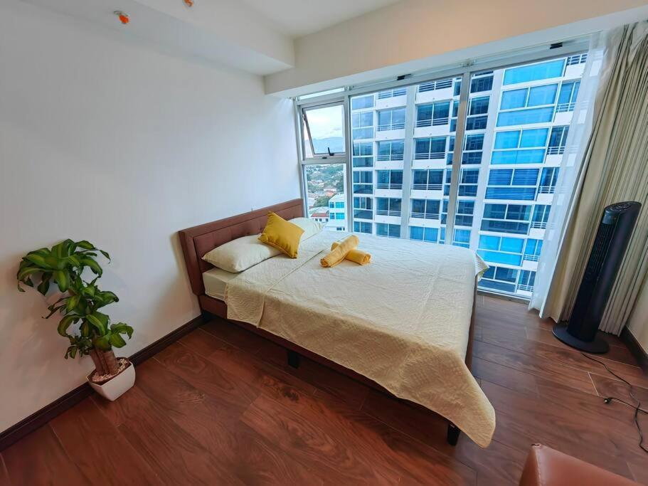 1102 Torre Los Yoses Hermoso Apartamento En Barrio Escalante Sin Parqueo San José Exterior foto